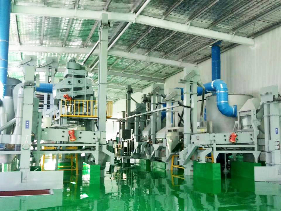 山東- 花生加工廠